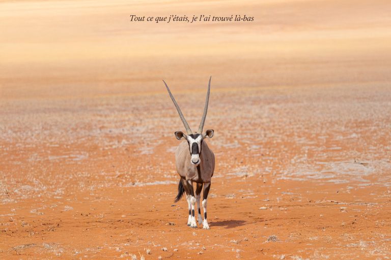 Namibie 2025